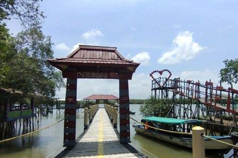 Hutan Payau: Surga Alam yang Tak Pernah Penuh Sesak di Cilacap