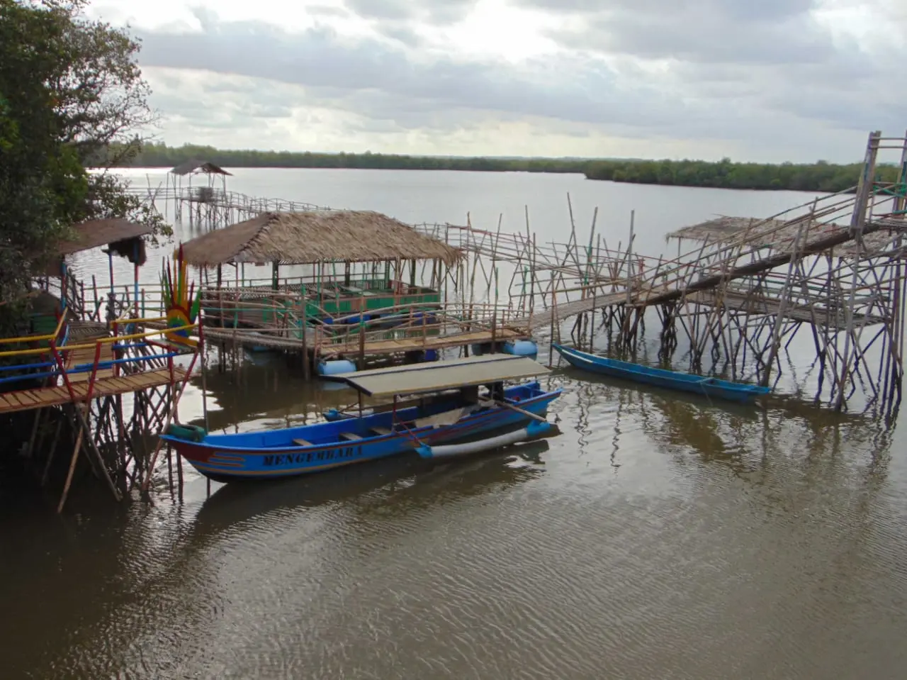 Hutan Payau: Jantung Kehidupan Alam di Tengah Cilacap